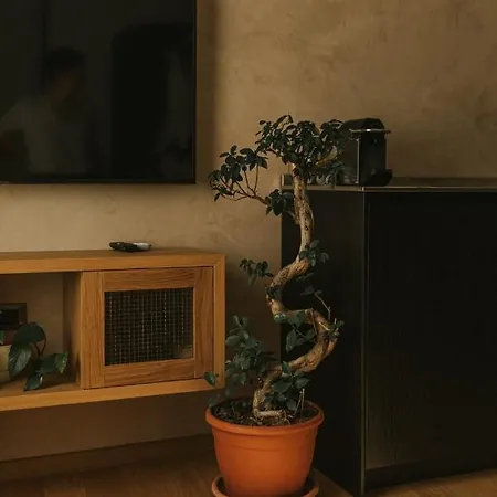 Cave Design Appartamento