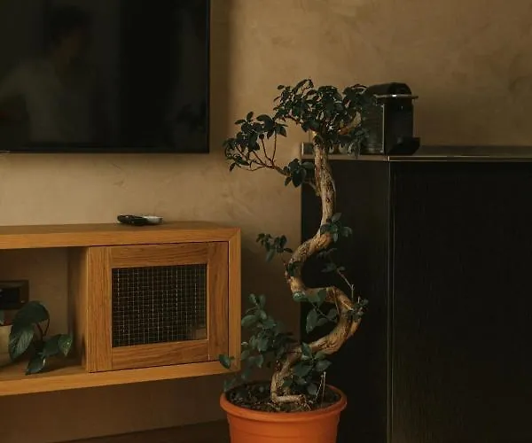 Cave Design Apartment