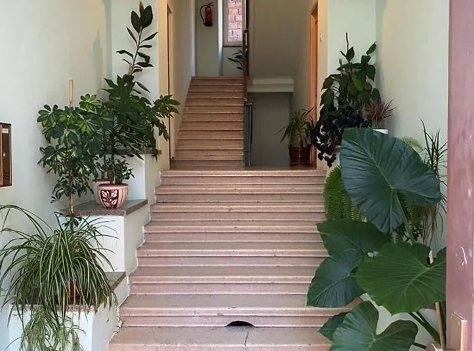 Cave Design * Пула